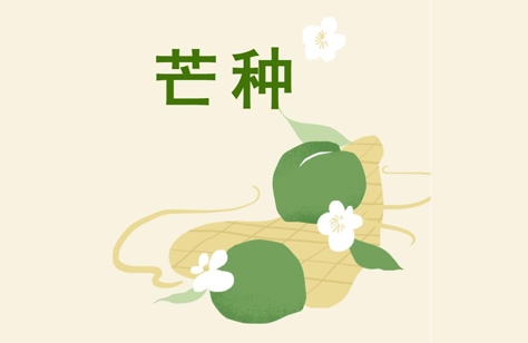 創(chuàng)洲木門(mén)丨芒種，是豐收也象征著新生